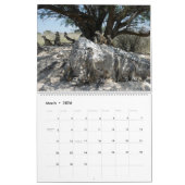 Calendrier des Meerkats KMP 2023 (Mar 2026)