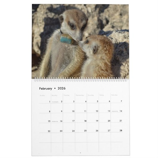 Calendrier des Meerkats KMP 2023 (Feb 2026)