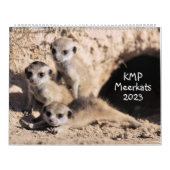 Calendrier des Meerkats KMP 2023 (Protection)