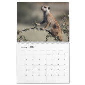 Calendrier des Meerkats KMP 2023 (Jan 2026)