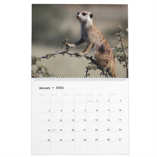 Calendrier des Meerkats KMP 2023 (Jan 2026)
