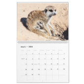 Calendrier des Meerkats KMP 2024 (Mar 2026)