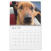 Calendrier des meilleurs chiens amis! (Feb 2027)