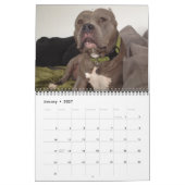 Calendrier des meilleurs chiens amis! (Jan 2027)