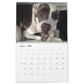 Calendrier des meilleurs chiens amis! (Mar 2027)