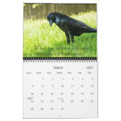 Calendrier des messages 2016 d'esprit de Raven (Mar 2027)