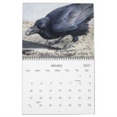 Calendrier des messages 2016 d'esprit de Raven (Jan 2027)