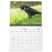 Calendrier des messages 2016 d'esprit de Raven (Mar 2026)