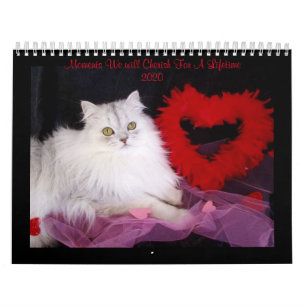 Calendrier des moments spéciaux de iCatz