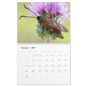 CALENDRIER DES MOTHS UPCLOSE 2021 (Feb 2027)