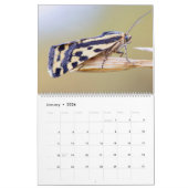 CALENDRIER DES MOTHS UPCLOSE 2021 (Jan 2026)