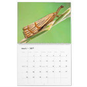 CALENDRIER DES MOTHS UPCLOSE 2021 (Mar 2027)