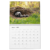 Calendrier des Mouffettes rayées et tachetées (Mar 2027)