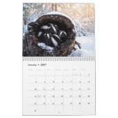 Calendrier des Mouffettes rayées et tachetées (Jan 2027)