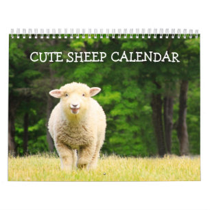 Calendrier des moutons mignons