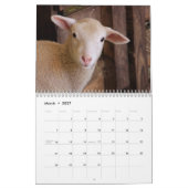 Calendrier des moutons mignons (Mar 2027)