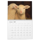 Calendrier des moutons mignons (Jan 2027)