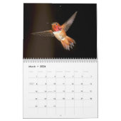 Calendrier des murailles des colibris (Mar 2026)
