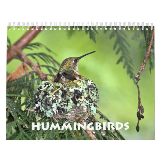Calendrier des murailles des colibris (Protection)