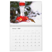 Calendrier des murailles des colibris (Jan 2027)