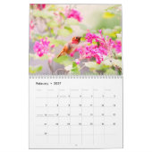 Calendrier des murailles des colibris (Feb 2027)