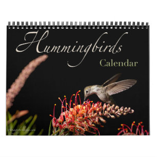 Calendrier des murailles des colibris