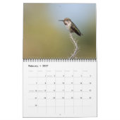 Calendrier des murailles des colibris (Feb 2027)