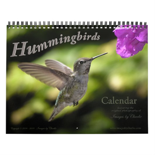 Calendrier des murailles des colibris (Protection)