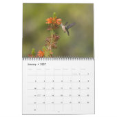 Calendrier des murailles des colibris (Jan 2027)