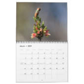 Calendrier des murailles des colibris (Mar 2027)