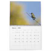 Calendrier des murailles des colibris 2026 (Feb 2026)