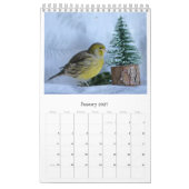 Calendrier des Murs 2021 Oiseaux mignons Animaux C (Jan 2027)