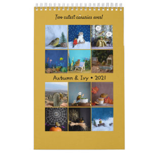 Calendrier des Murs 2021 Oiseaux mignons Animaux C