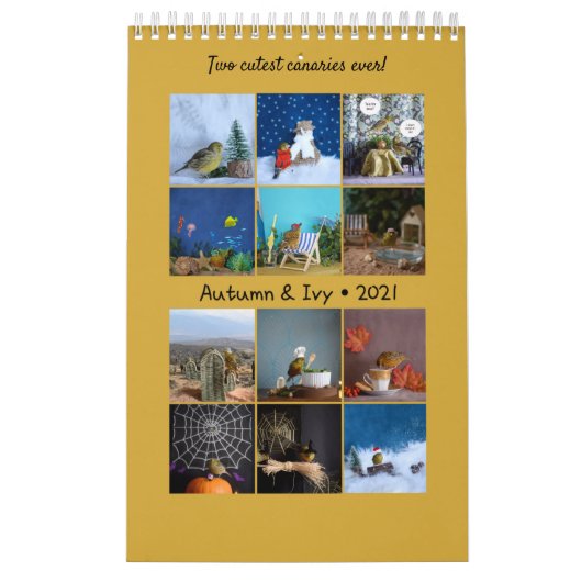 Calendrier des Murs 2021 Oiseaux mignons Animaux C (Protection)