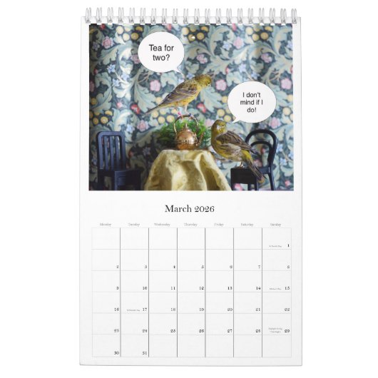 Calendrier des Murs 2021 Oiseaux mignons Animaux C (Mar 2026)