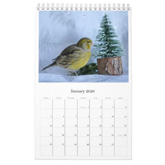 Calendrier des Murs 2021 Oiseaux mignons Animaux C (Jan 2026)