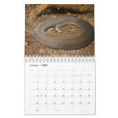 Calendrier des murs de collecte des serpents (Jan 2027)