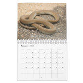 Calendrier des murs de collecte des serpents (Feb 2026)