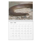 Calendrier des murs de collecte des serpents (Mar 2026)