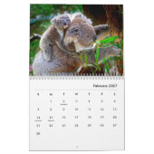 Calendrier des murs de Koalas (Feb 2027)
