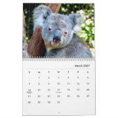 Calendrier des murs de Koalas (Mar 2027)