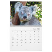 Calendrier des murs de Koalas (Mar 2026)