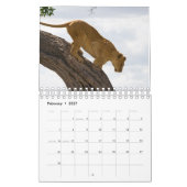 Calendrier des Murs de la faune africaine (Feb 2027)