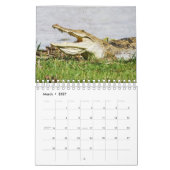 Calendrier des Murs de la faune africaine (Mar 2027)