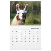 Calendrier des murs de lamas (Feb 2027)