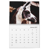 Calendrier des murs de lamas (Jan 2027)