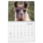 Calendrier des murs de lamas (Mar 2027)