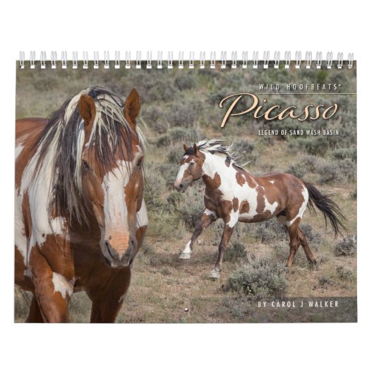 Calendrier des Murs de Picasso II (Protection)