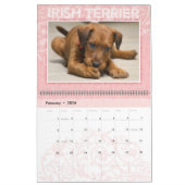 Calendrier des Murs de Terrier Puppies 2020 en Irl (Feb 2026)