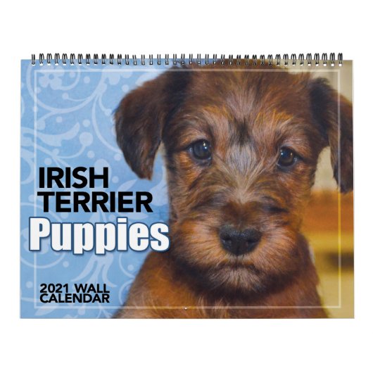 Calendrier des Murs de Terrier Puppies 2021 en Irl (Protection)